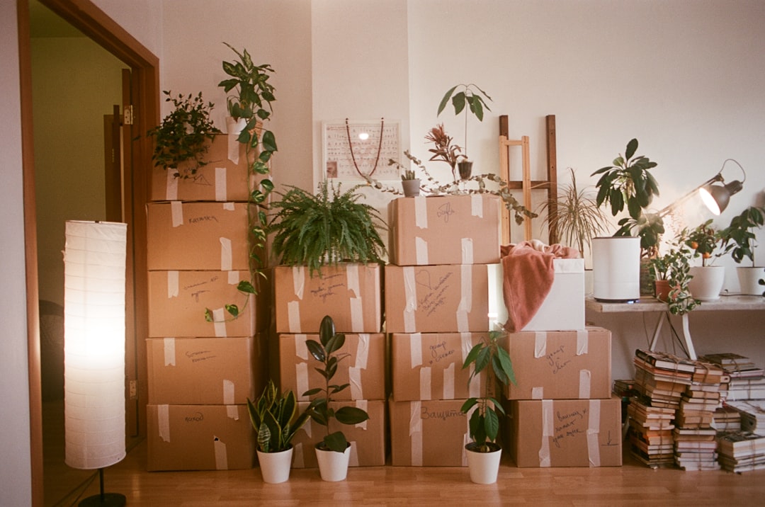 Business Storage Solutions During Office Relocation: What LA Companies Need to Know — LuxeMove