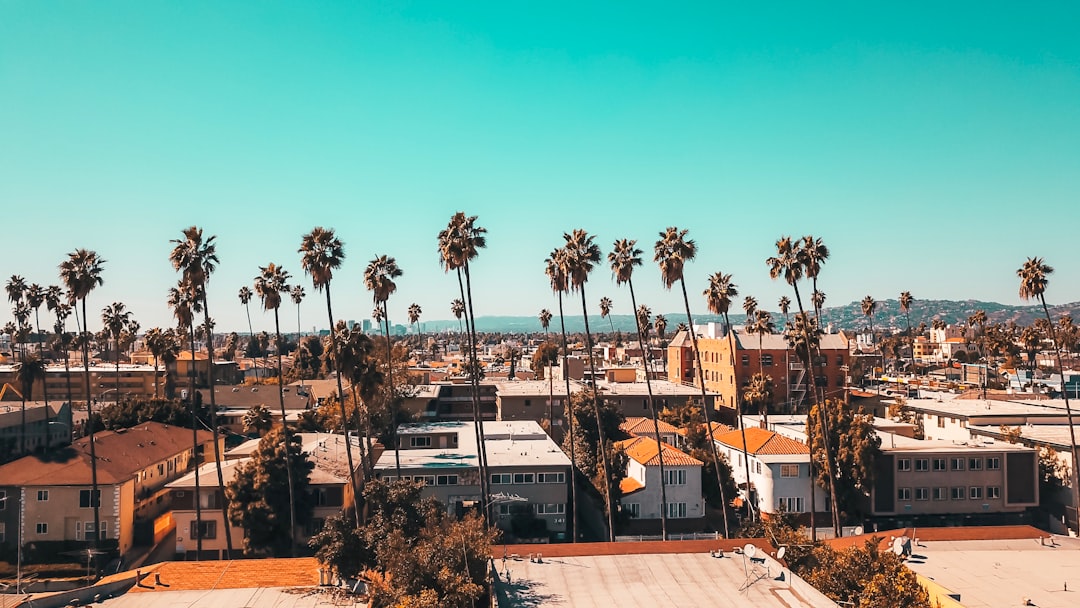 Cheap Moving Tips for Los Angeles: How to Move on a Budget in LA — LuxeMove
