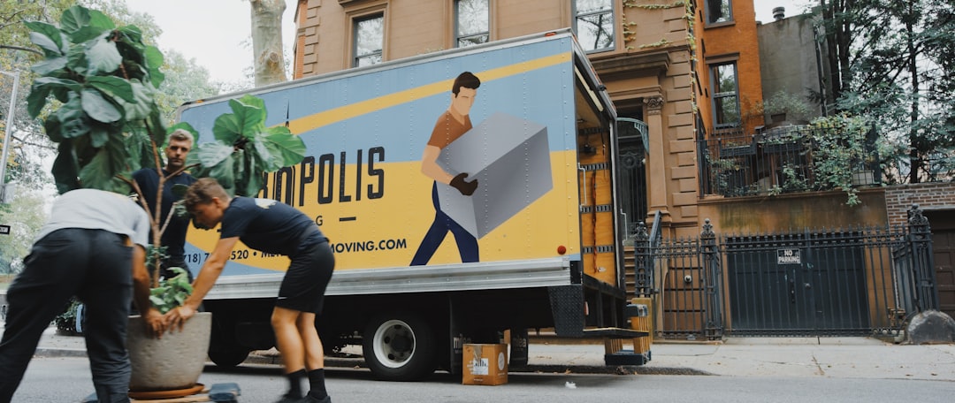 How to Insure Your Valuables During a Move: Coverage Options Explained — LuxeMove