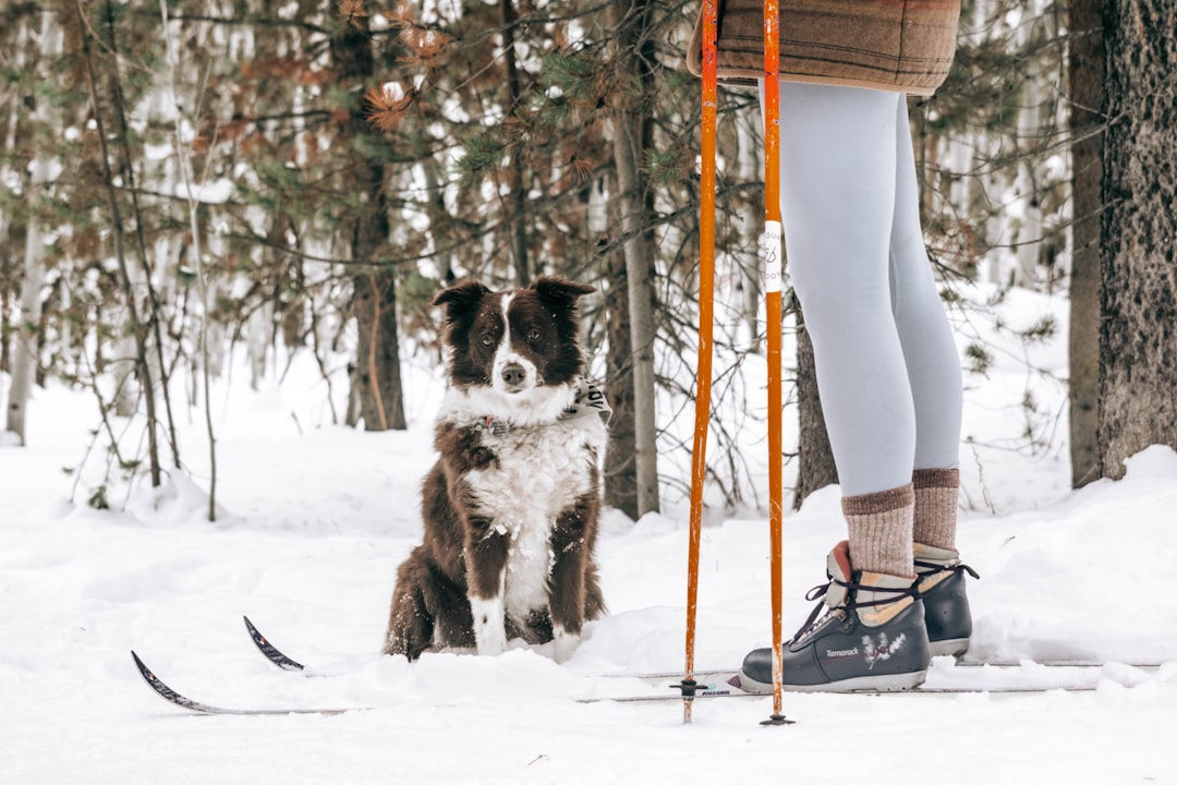 How to Pack for a Cross-Country Move: Tips for Protecting Your Belongings — LuxeMove