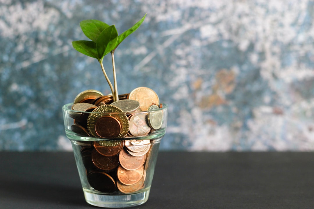 How to Save Money on Storage: Tips for Reducing Your Storage Costs — LuxeMove