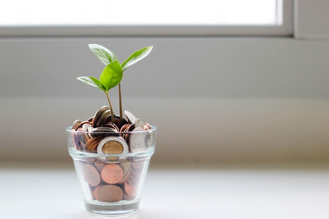 How to Save Money on Your Move: 15 Practical Tips That Actually Work — LuxeMove