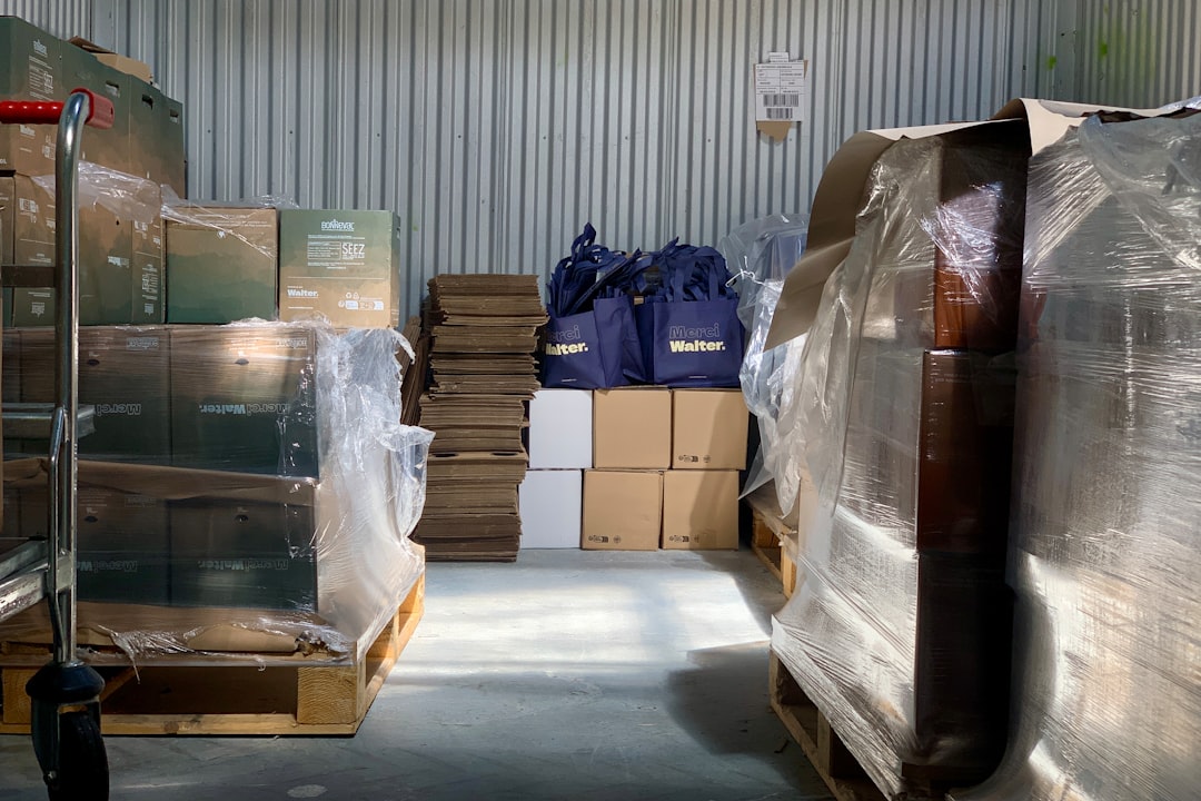 Items Worth Putting in Storage During a Move (and Items That Aren't) — LuxeMove