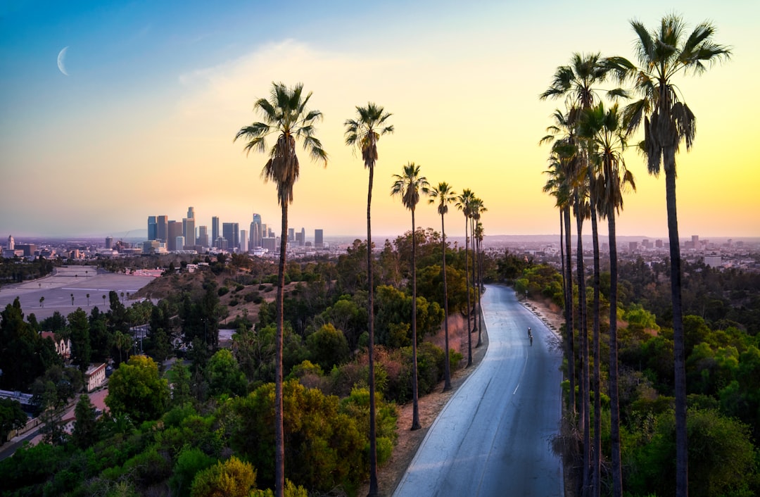 Leaving Los Angeles: What to Know, Plan, and Expect When Moving Away — LuxeMove