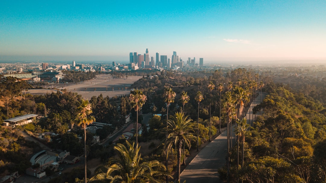 Moving Costs in Los Angeles: What to Budget in 2026 — LuxeMove