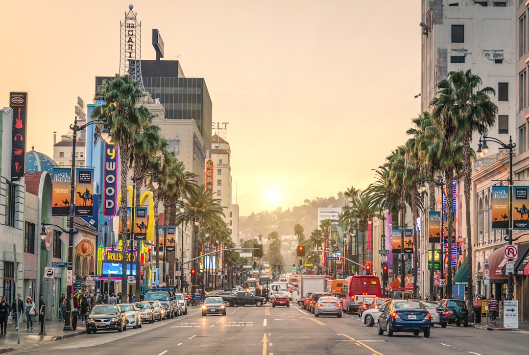 Moving from California: A Complete Guide for Those Leaving the Golden State — LuxeMove