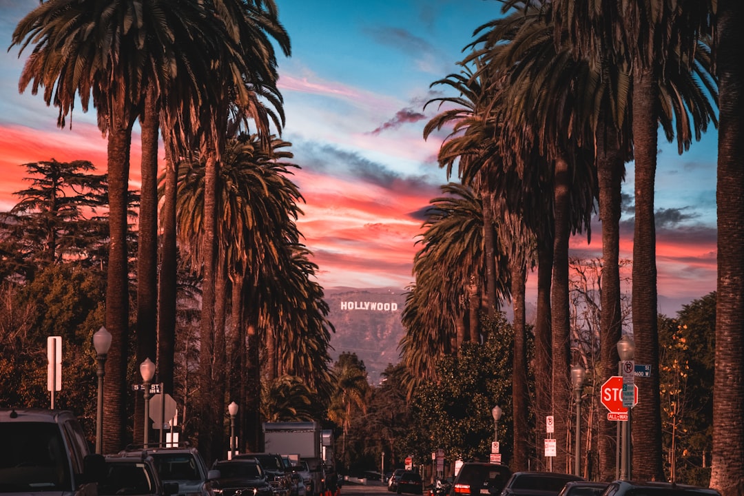 Moving in Los Angeles: The Complete Guide for 2026 — LuxeMove