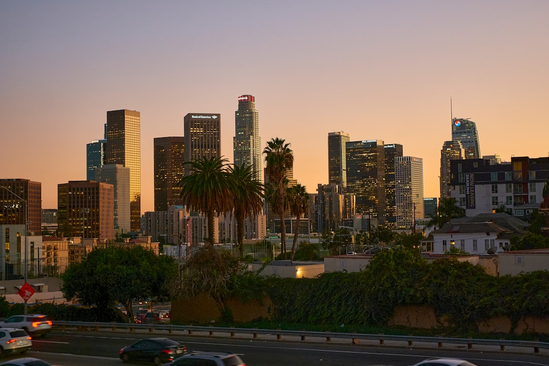 Moving to Los Angeles for Work: What You Need to Know Before Relocating — LuxeMove