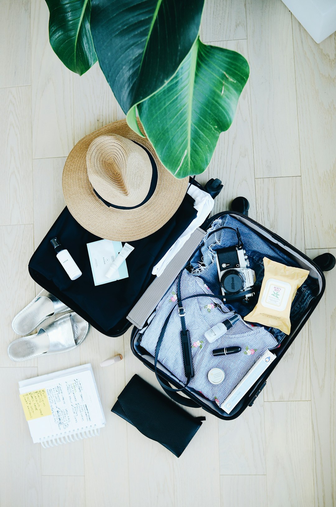 Packing Hacks That Save Time and Money on Your Next Move — LuxeMove