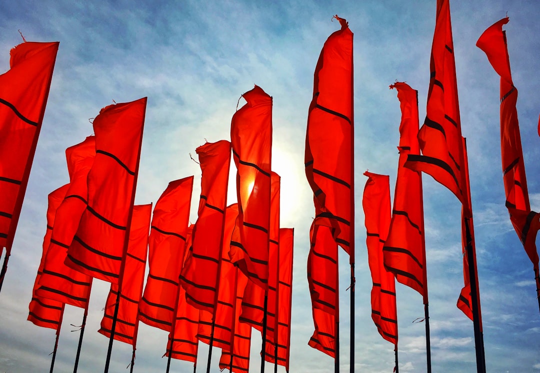 Red Flags When Hiring Long-Distance Movers: Scams and Warning Signs to Watch For — LuxeMove