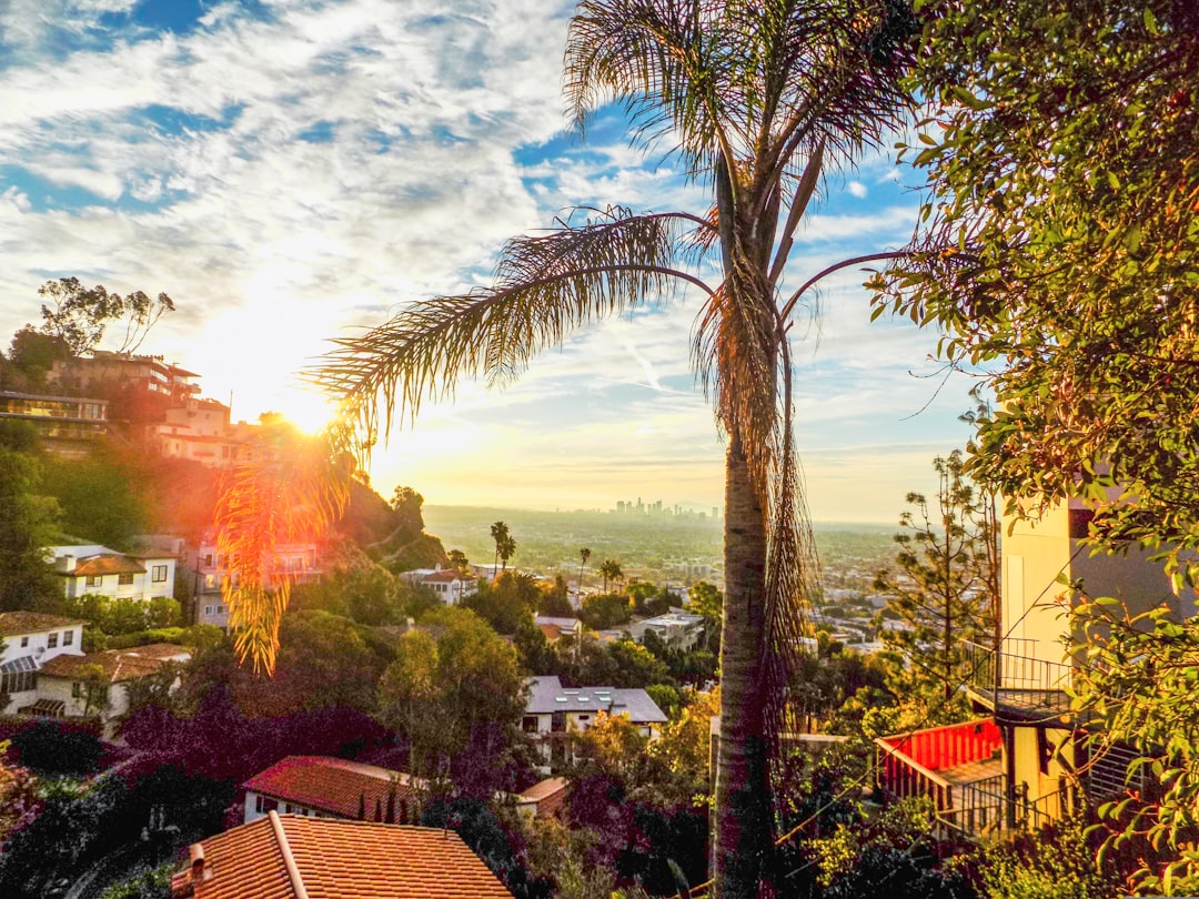 10 Things to Know Before Moving to West Hollywood — LuxeMove