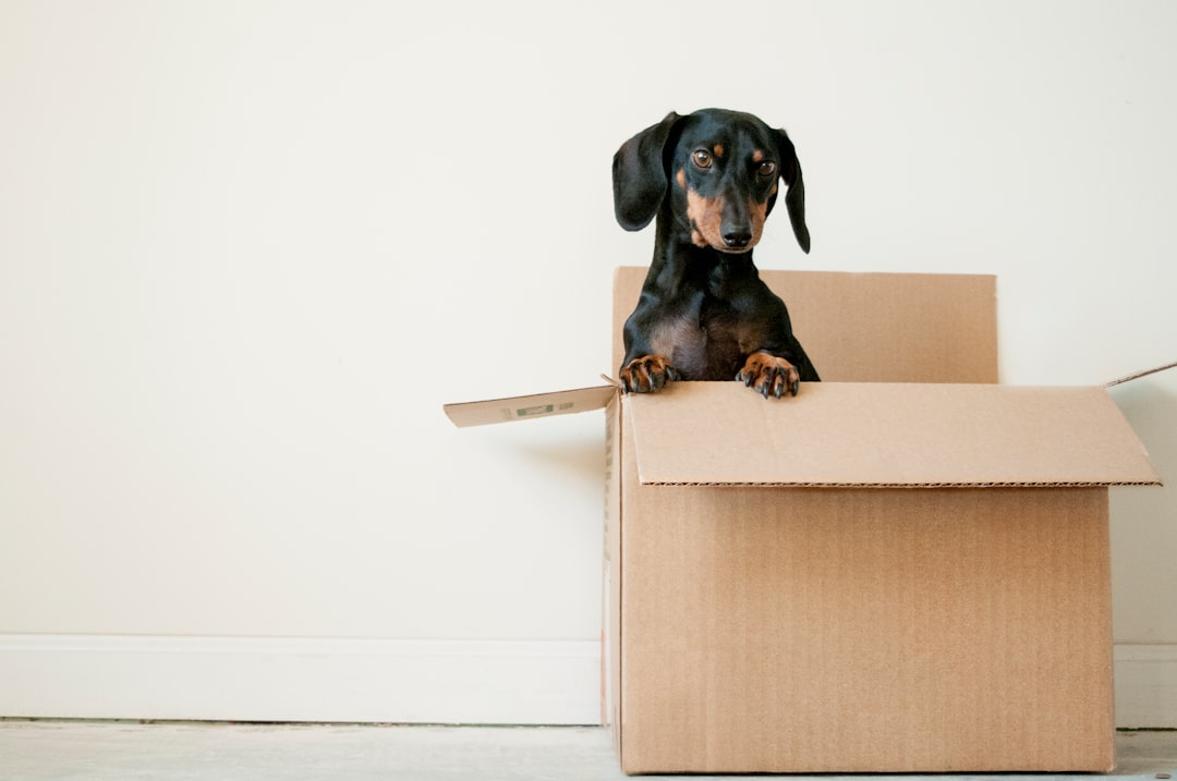 What to Look for in a Corporate Moving Company: A Business Owner's Guide — LuxeMove